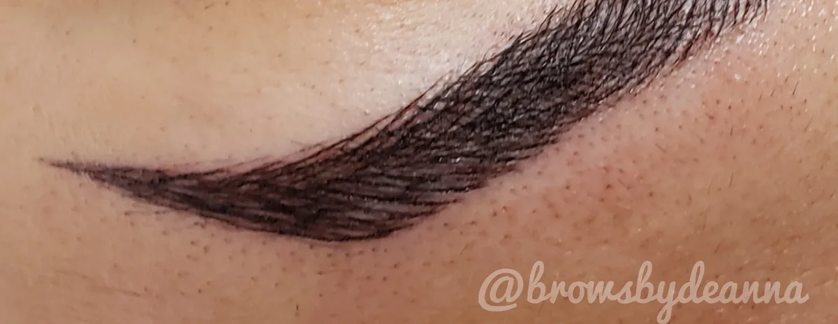 Microblading before and after at Ezina Beauty in Blaine, MN: after