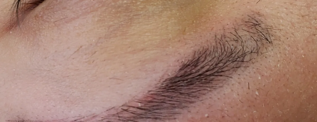 Microblading before and after at Ezina Beauty in Blaine, MN: before